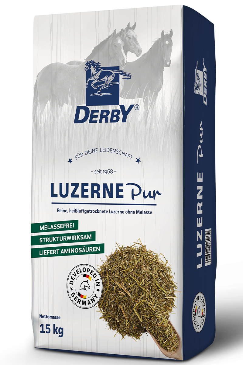 Derby Luzerne pur